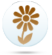 Кельтский (цветочный) гороскоп
